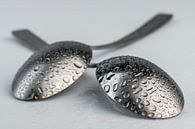 Abstract artistic photograph of a cutlery, being two spoons with waterdrops lying on top of each oth by Tonko Oosterink thumbnail