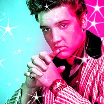 Elvis und der Ruhm von Joost Hogervorst