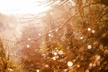 Puur natuur van Yanuschka Fotografie | Noordwijk