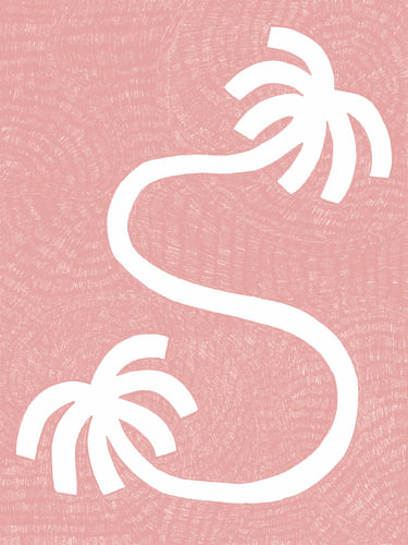 Modern Tropical Palms