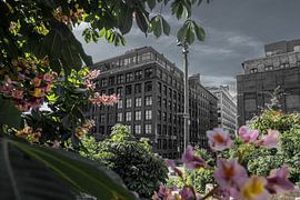 Dumbo Brooklyn   New York