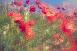 Unter dem Einfluss der Brise......... von Martine Affre Eisenlohr