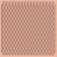 PumpSkin Patroon Vierkant met Pantone kleur 2022 Pheasant