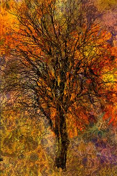 Fiery Temper