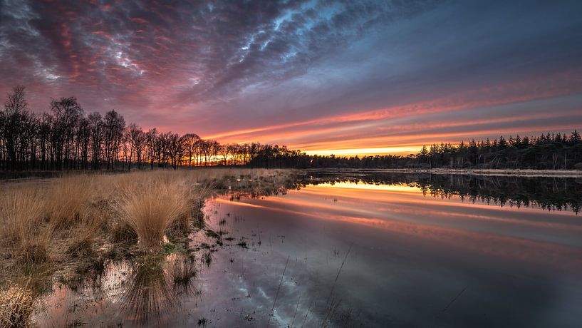 Buntven by Harold van den Hurk