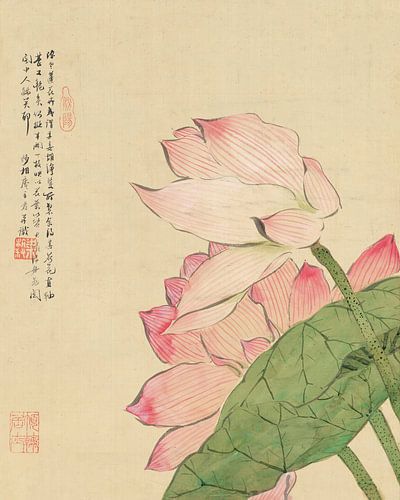 Liang Yuwei - Flowers Pl.04