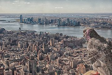 Manhattan depuis l'Empire State Building sur Tineke Visscher