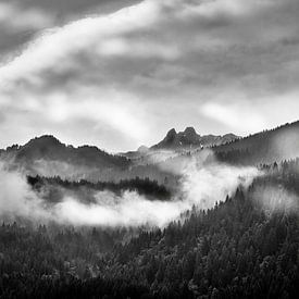 Swiss Alps in Black and White by eric van der eijk