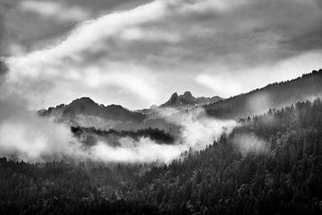 Les Alpes suisses en noir et blanc