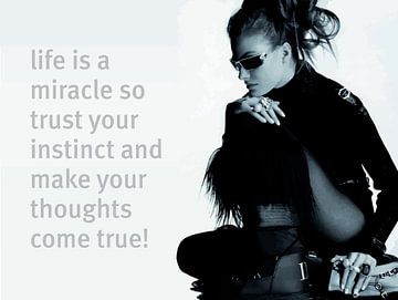 Vos réflexions sur Harald Vrielink