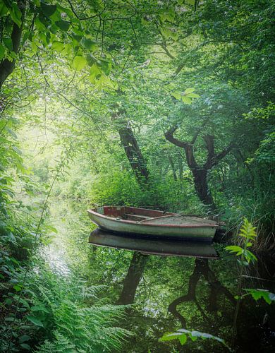 Verlaten Boot in Heempark van Thijs Friederich