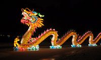 Chinese dragon by Rogier Vermeulen thumbnail