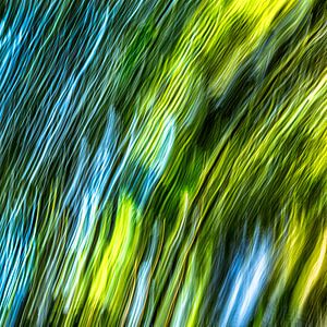 Dans van licht in groen en blauw