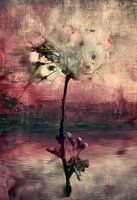 An ode to the beauty hidden in layers of time and imagination