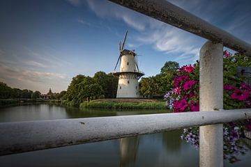 Prachtige wolkenlucht en een mooie reflectie van molen De Hoop in Middelburg