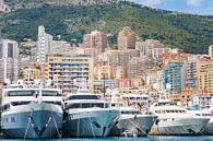 The port of Monaco during a Grand Prix competition von Michiel Ton Miniaturansicht