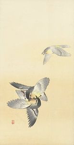 Zwei Kampfvögel des Ohara Koson