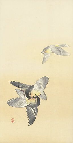 Deux oiseaux de combat d'Ohara Koson