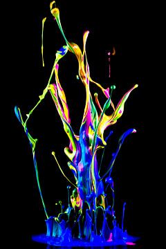 Splashing Colors. van Demitry Schmaloer