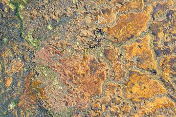 Kleurrijk abstract moeraslandschap van bovenaf gezien. van Jeroen Kleiberg