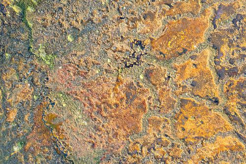Paysage abstrait et coloré d'un marécage vu d'en haut.