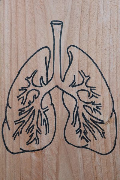 Lungs (1/3) by hou2use
