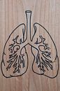 Lungs (1/3) by hou2use thumbnail