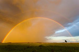 Rainbow in the sky von Karla Leeftink