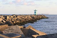 Chef de port Scheveningen