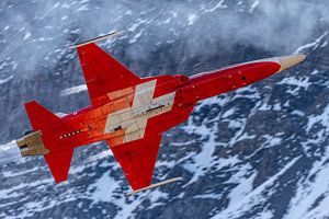 Eine Northrop F-5 der Patrouille de Suisse.