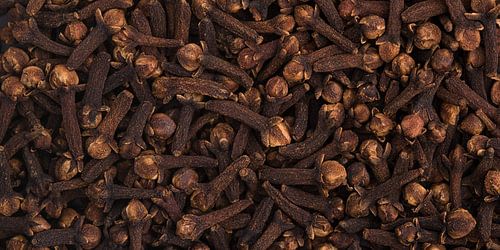 Panorama van kruidnagel