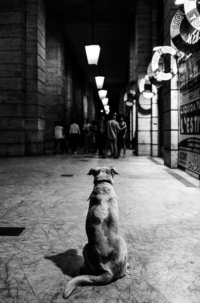 L'attente, Alessandro Perino par 1x