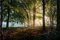 Vosbergen | Eelde