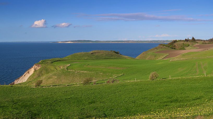 Landscape in Denmark van Bo Valentino