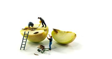 kleine figuren bezig met het verwijderen van de zaden van de appel geïsoleerd op een witte achtergro van ChrisWillemsen