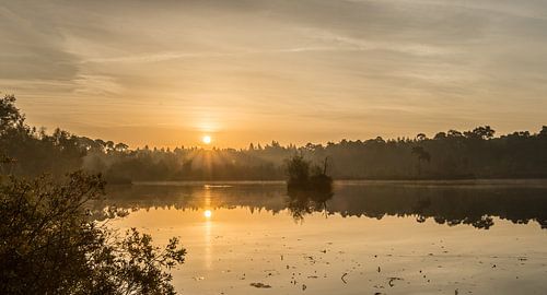 Zonsopkomst Voorste Goorven Oisterwijk