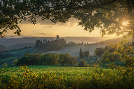 Die Abtei und die Weinberge von Badia a Passignano bei Sonnenuntergang, Toskana von Stefano Orazzini