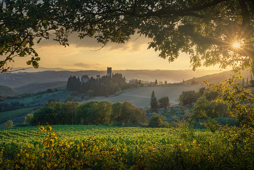 Badia a Passignano Abbey and Vineyards at Sunset, Tuscany by Stefano Orazzini
