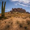 Bijgelovig Saguaro Cactussen van Loris Photography