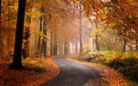 Belgie - Zonnebeke - Herfstplaatje in het heuvelland