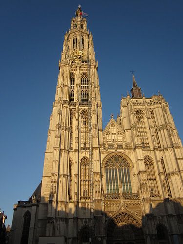 Antwerpen Kathedraal van Sander van der Lem