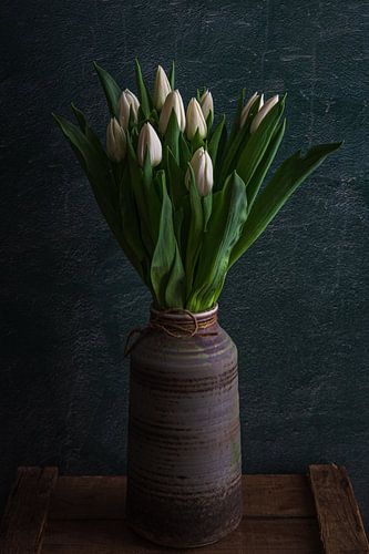 Witte tulpen in vaas