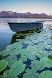 Morgenstille über dem Hopfensee