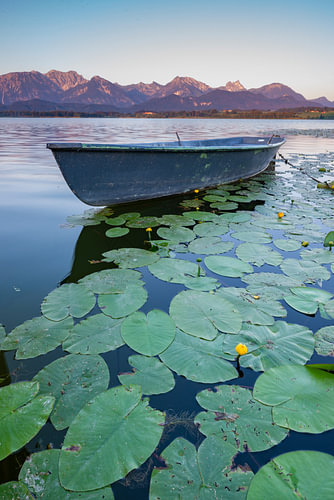 Morning stillness over Lake Hopfensee by Walter G. Allgöwer