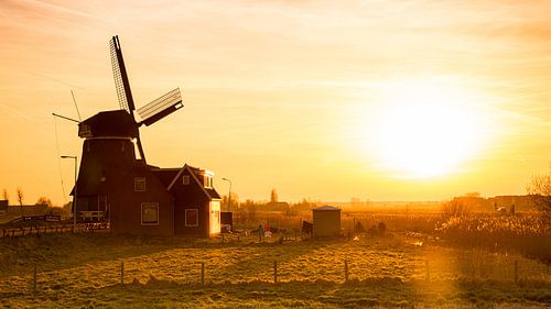 Magische Sonnenlicht