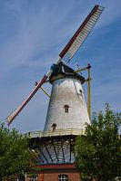 Molen De Graanhalm in Burgh-Haamstede draaiend met twee wieken