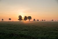 Sunrise, Sunrise