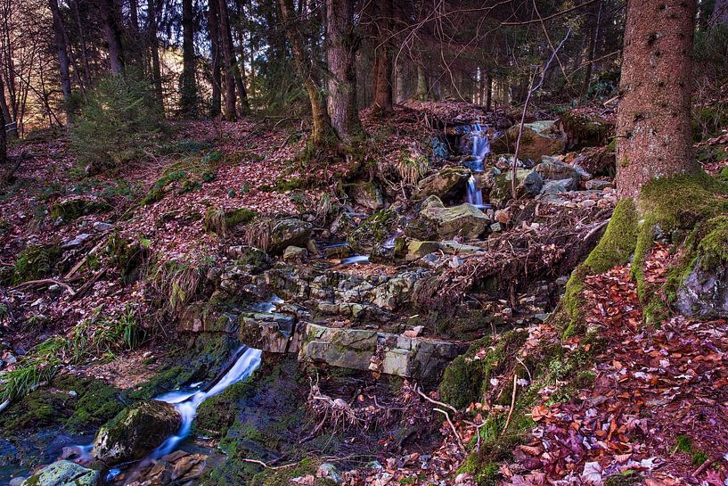 Bergrivier La Hoëgne van Rob Boon