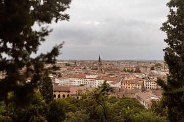 Uitzicht Verona, Italië van Meike Molenaar