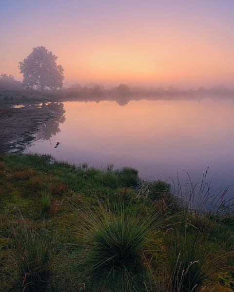 Zonsopkomst Aekingerzand van Henk Meijer Photography